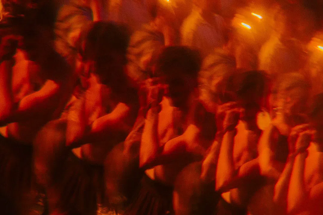Traum Club, Antwerpen