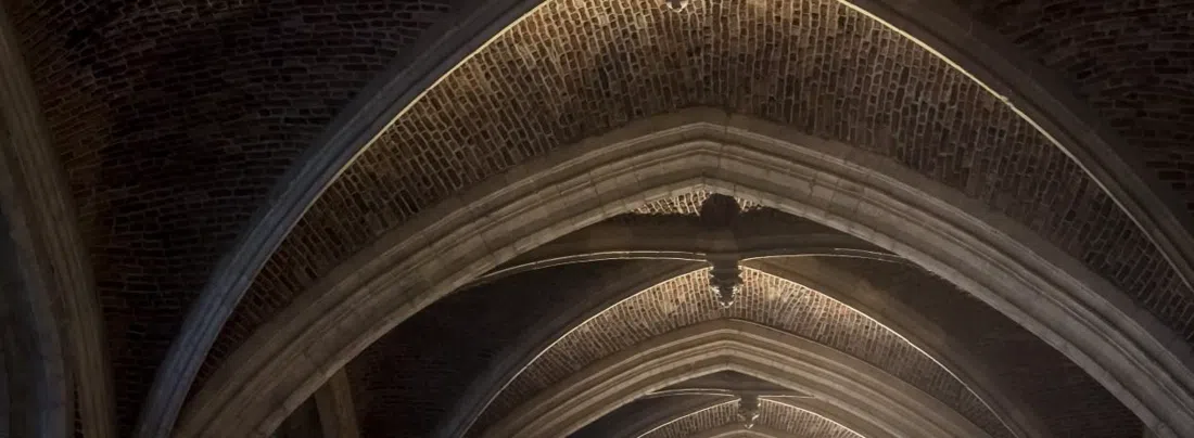 Salita alla Torre della Cattedrale (Museum Vleeshuis / TowerTunes al Municipio), Anversa