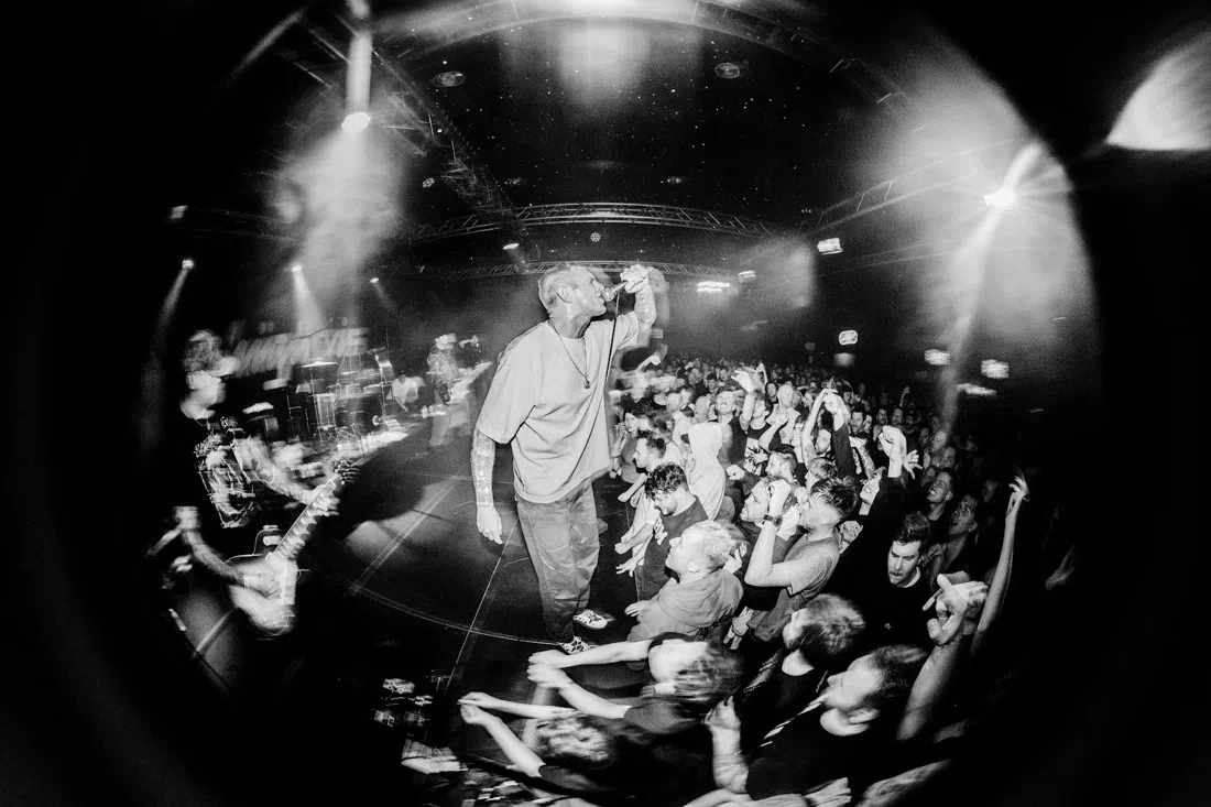 Kavka Zappa, Antwerp