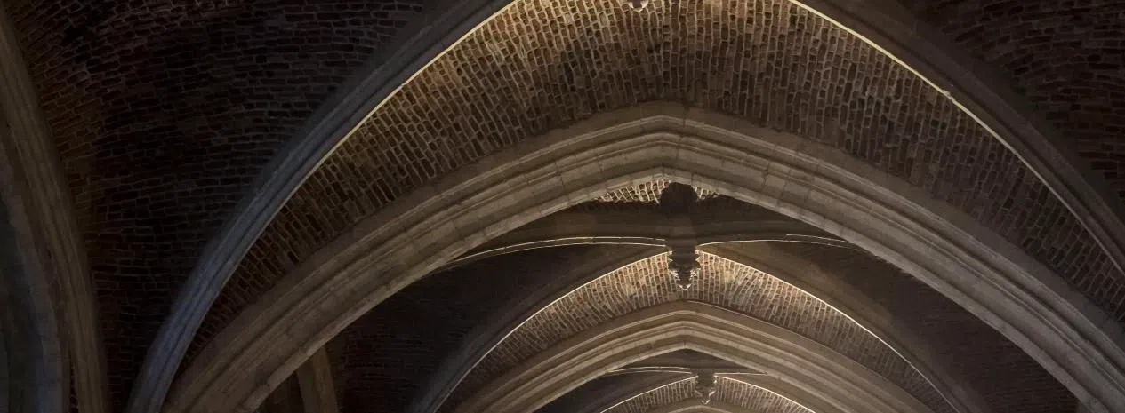 Cathedral Tower Climb (Museum Vleeshuis / TowerTunes at City Hall), Antwerp